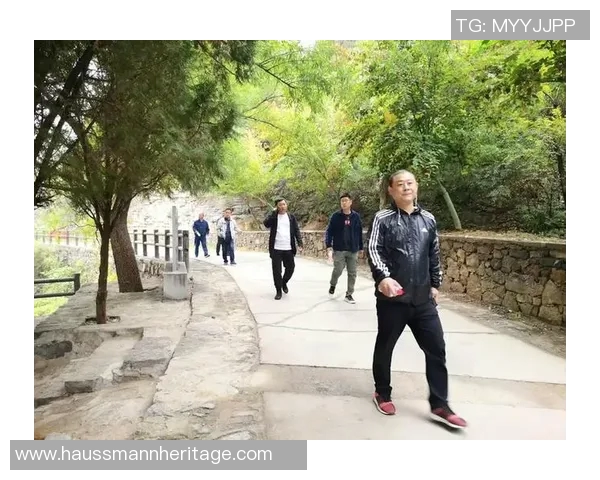 里尔对阵尼姆精彩直播全程回顾与赛后分析尽在这里