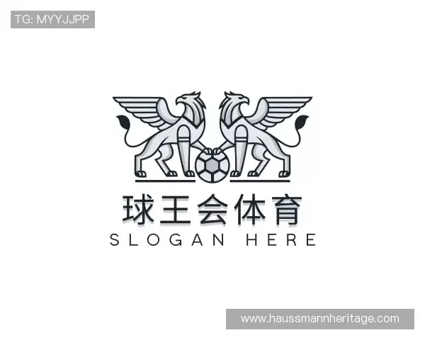 关于球王会体育